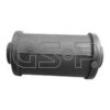 GSP 511252 Bush, leaf spring
